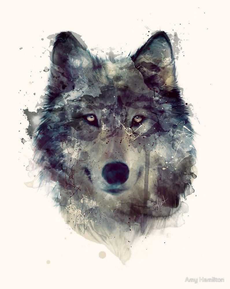 wolf