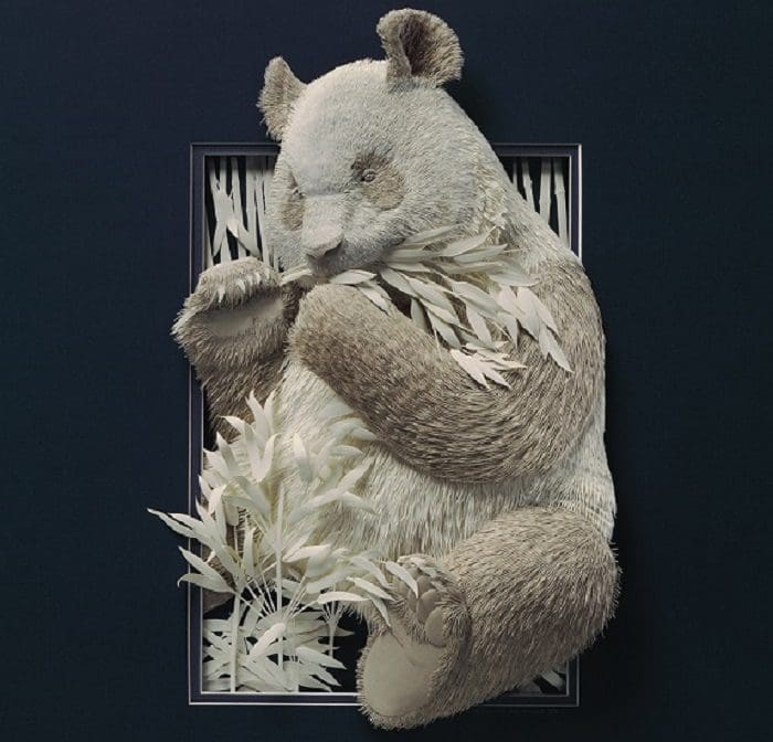 More incredible paper art. The Paper Zoo series by Calvin Nicholls.
