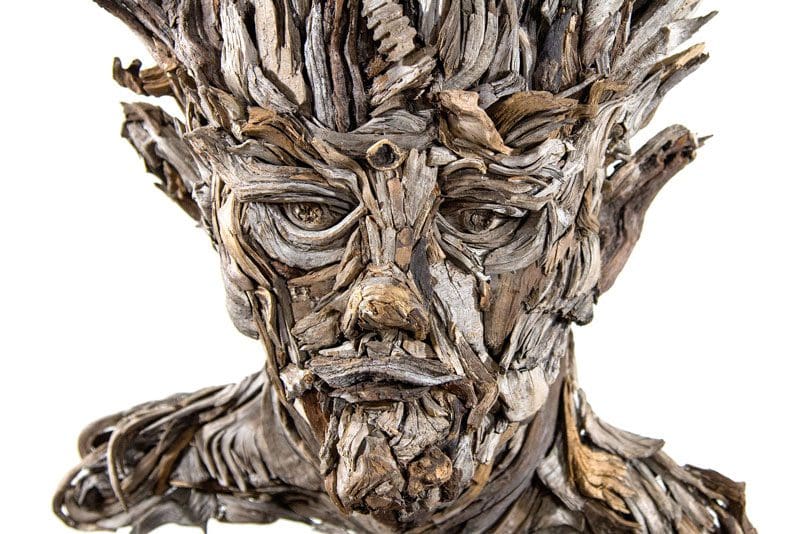 Eyevan Tumbleweed