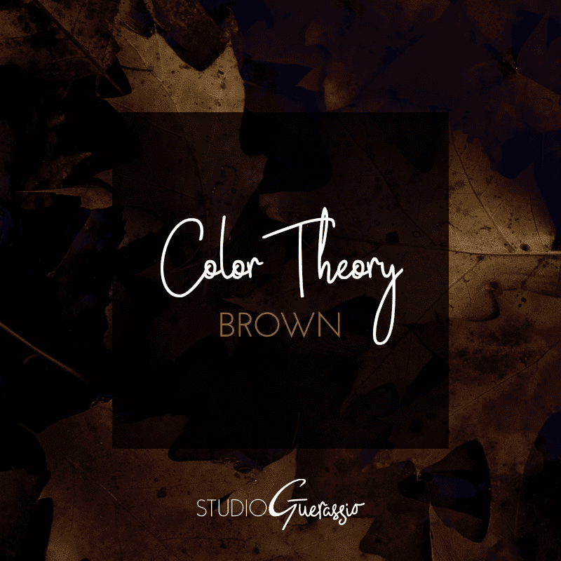 Color Theory Brown — Studio Guerassio — Branding Consultant